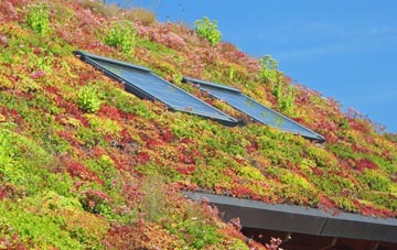 Limerigg living roof systems