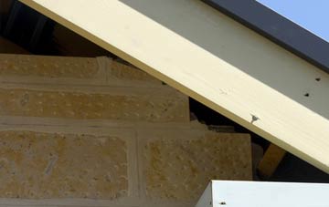 soffit repair Limerigg